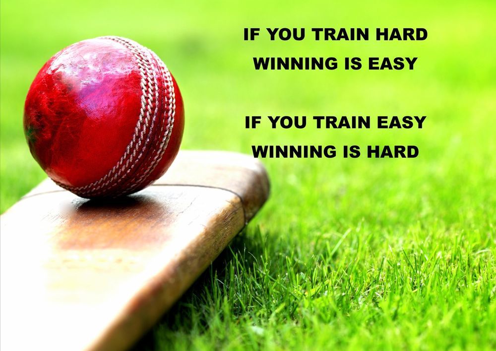 cricket is life quotes